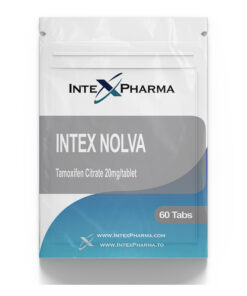 Intex Nolva