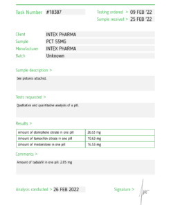 Alternative view of Intex Pct